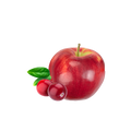 Apple Cranberry / 65ml