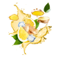 Splash Image