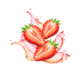 Strawberry Vanilla / 330ml