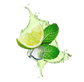 Splash Image
