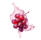Splash Image